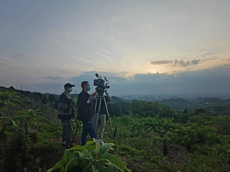 创意破圈！路北区电商产品宣传视频用故事化叙事引爆流量