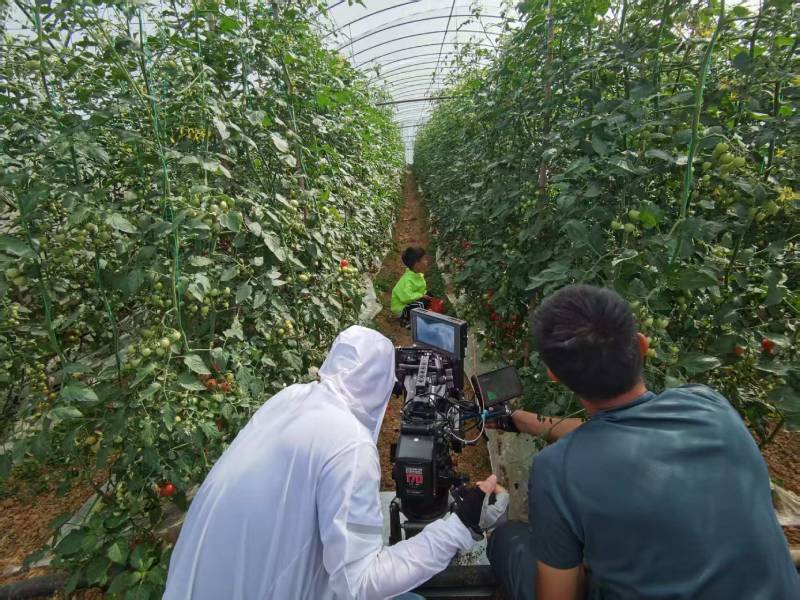 路北区产品宣传视频拍摄公司进阶指南，助力品牌抢占传播高地